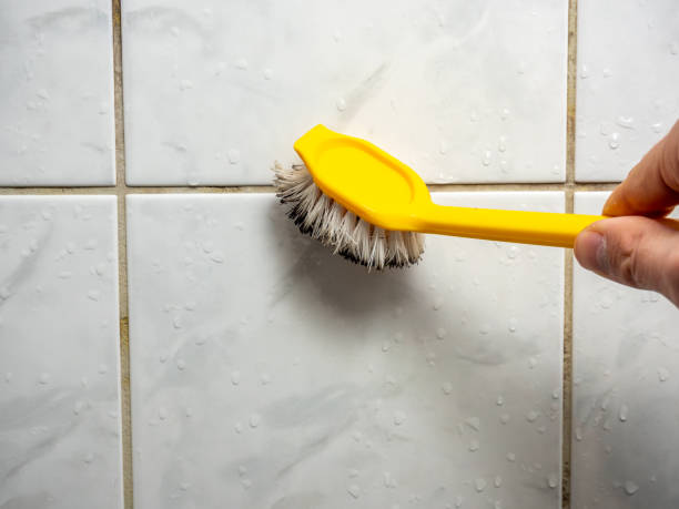 Best Post-Flood Mold Remediation in Manhattan Beach, CA