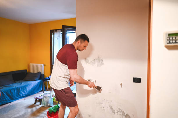 Best Attic Mold Remediation in Manhattan Beach, CA
